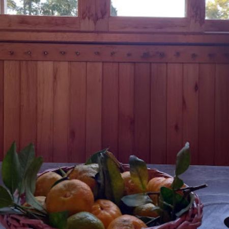 Cabana De Campo Cafe Da Manha Sitio Da Serrinha 봉헤찌로 외부 사진