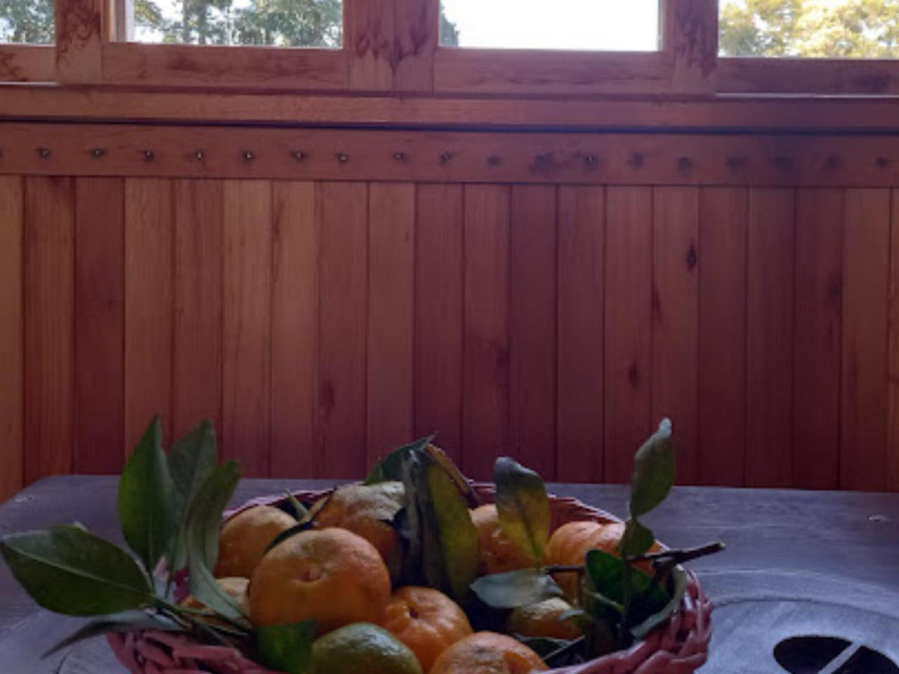 Cabana De Campo Cafe Da Manha Sitio Da Serrinha 봉헤찌로 외부 사진